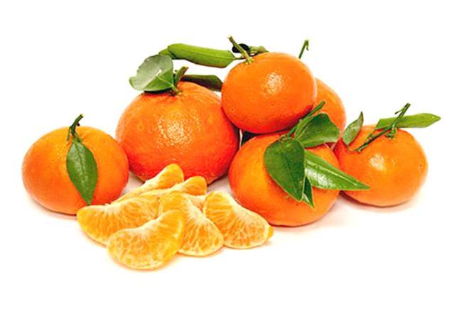 ALG Estates Fairchild Tangerines