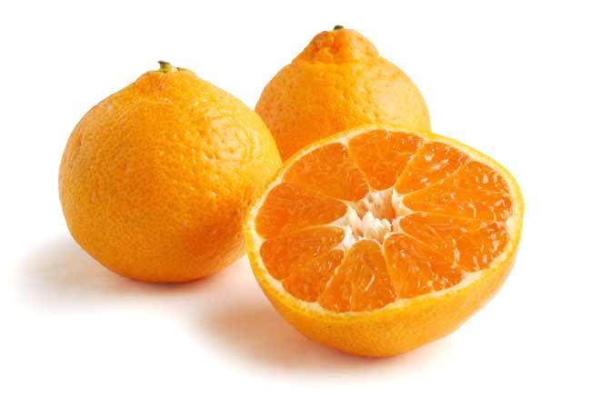 ALG Estates Satsuma Citrus Fruit